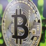 Memecoins Pivot to Charitable Campaigns for Legitimacy