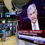 Altcoins on Life Support: Are Layer-1 Narratives Dead?