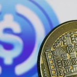 Whale Accumulation Hints at Long-Term Bitcoin Bull Cycle