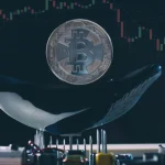 Signals from the Deep: AI Reads Whale Wallet Patterns