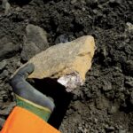 Oil Prices Steady as OPEC+ Pauses Output Hikes in Early 2026