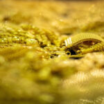 Stocks Lift as Falling US Yields Fuel Fresh Dovish Fed Momentum