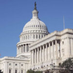 Illicit Crypto Activity Surges as Stablecoins Dominate