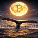 Bitcoin Holds Neutral Range as Heavy Whale Activity Clouds Short Term Outlook